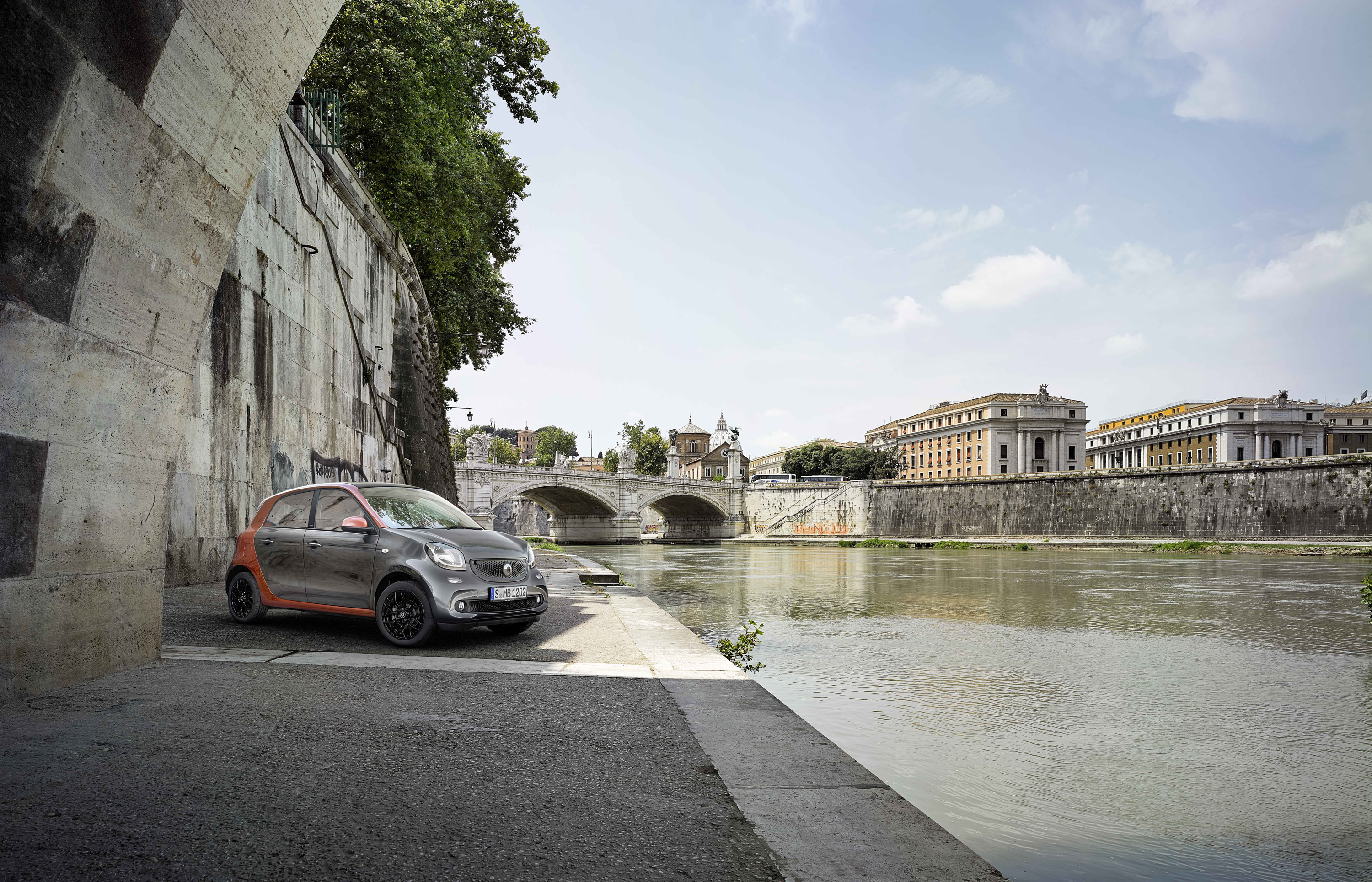 Smart Forfour photo #19