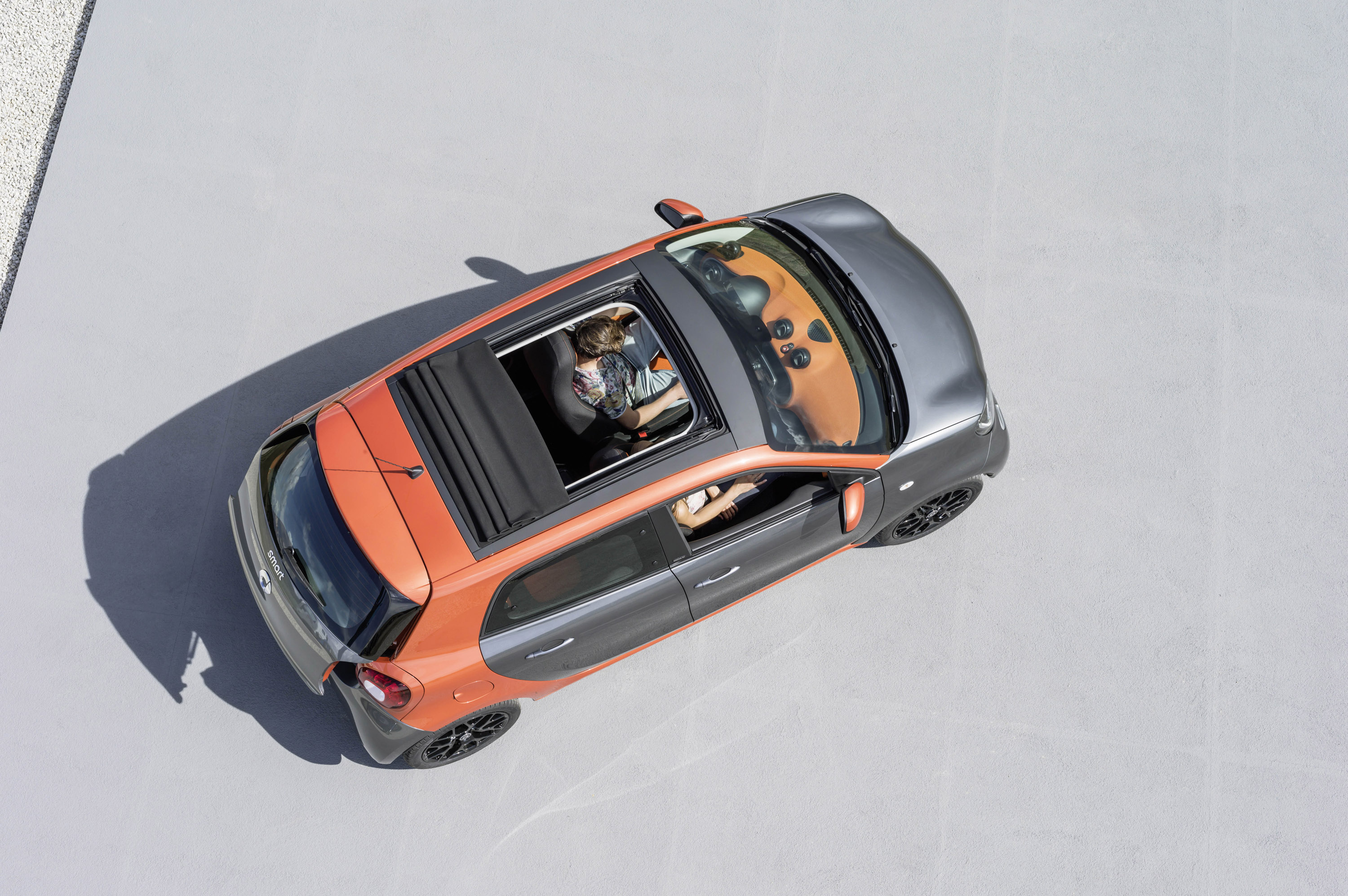 Smart Forfour photo #29