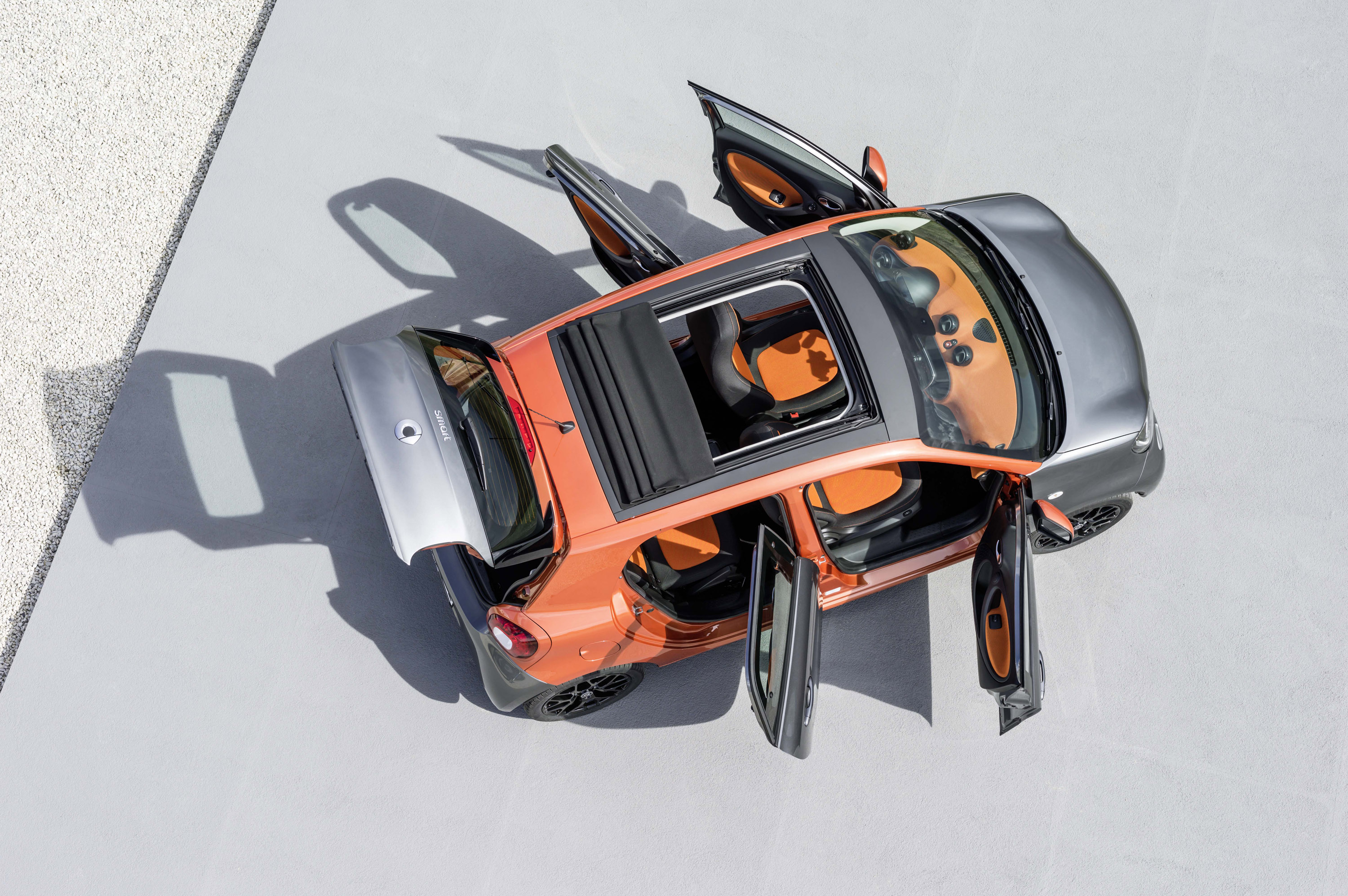 Smart Forfour photo #30