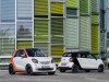 2015 Smart Forfour thumbnail photo 70768