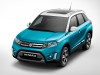 2015 Suzuki Vitara