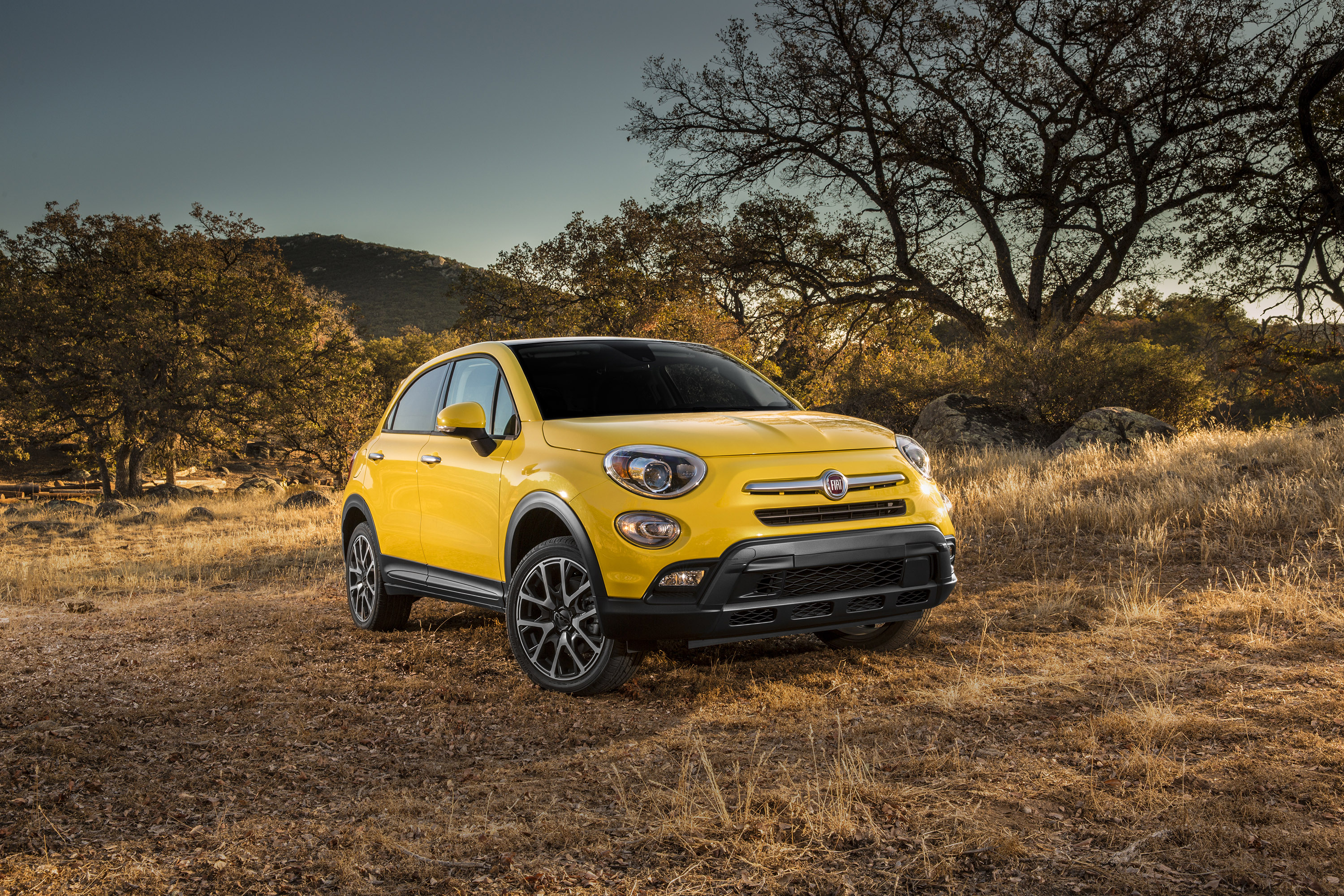 Fiat 500X Trekking Plus photo #1