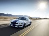 2016 Ford Mustang Shelby GT350 thumbnail photo 80849