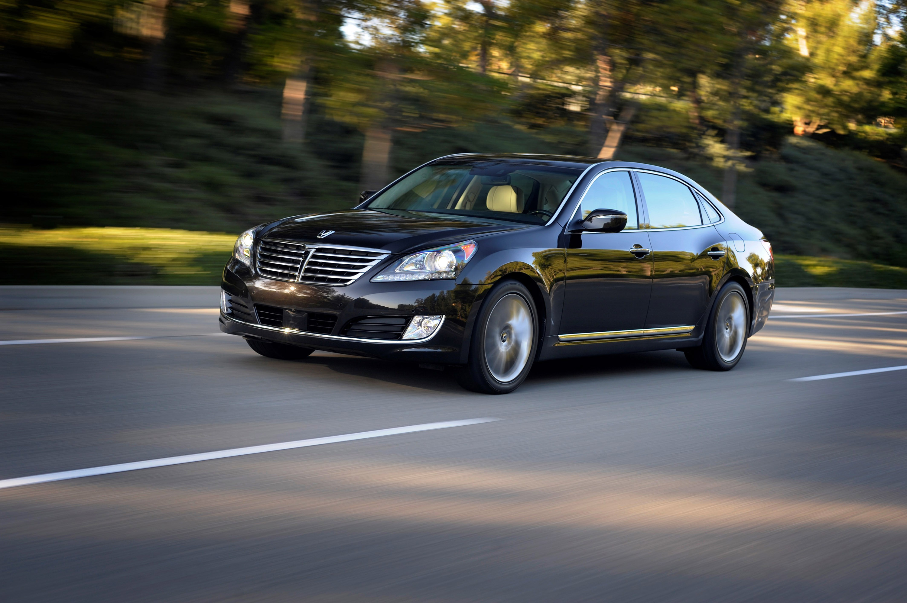 Hyundai Equus photo #2