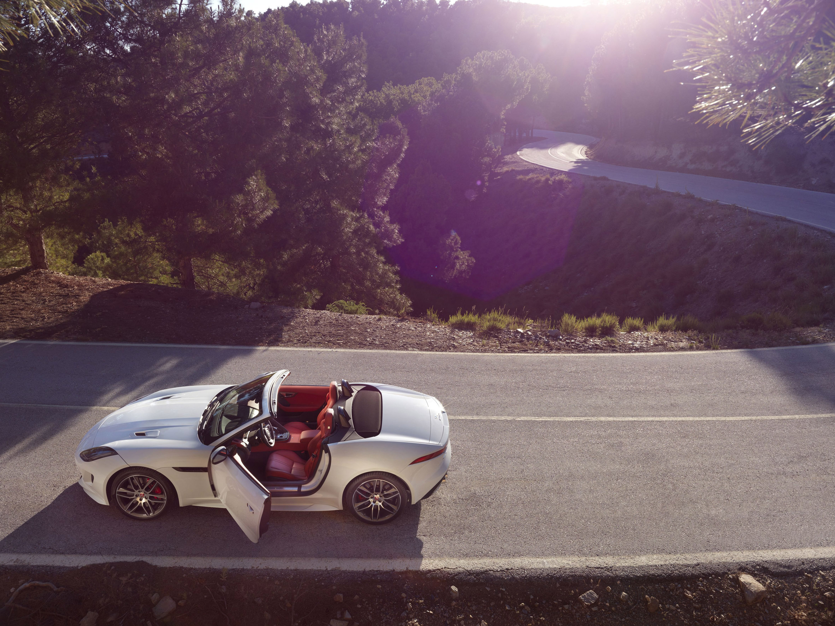 Jaguar F-Type photo #28