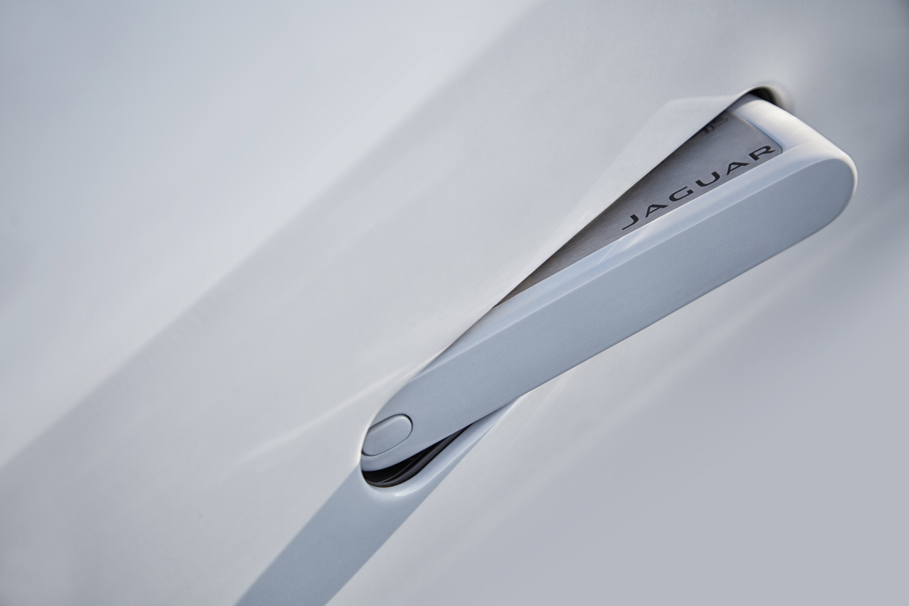 Jaguar F-Type photo #59