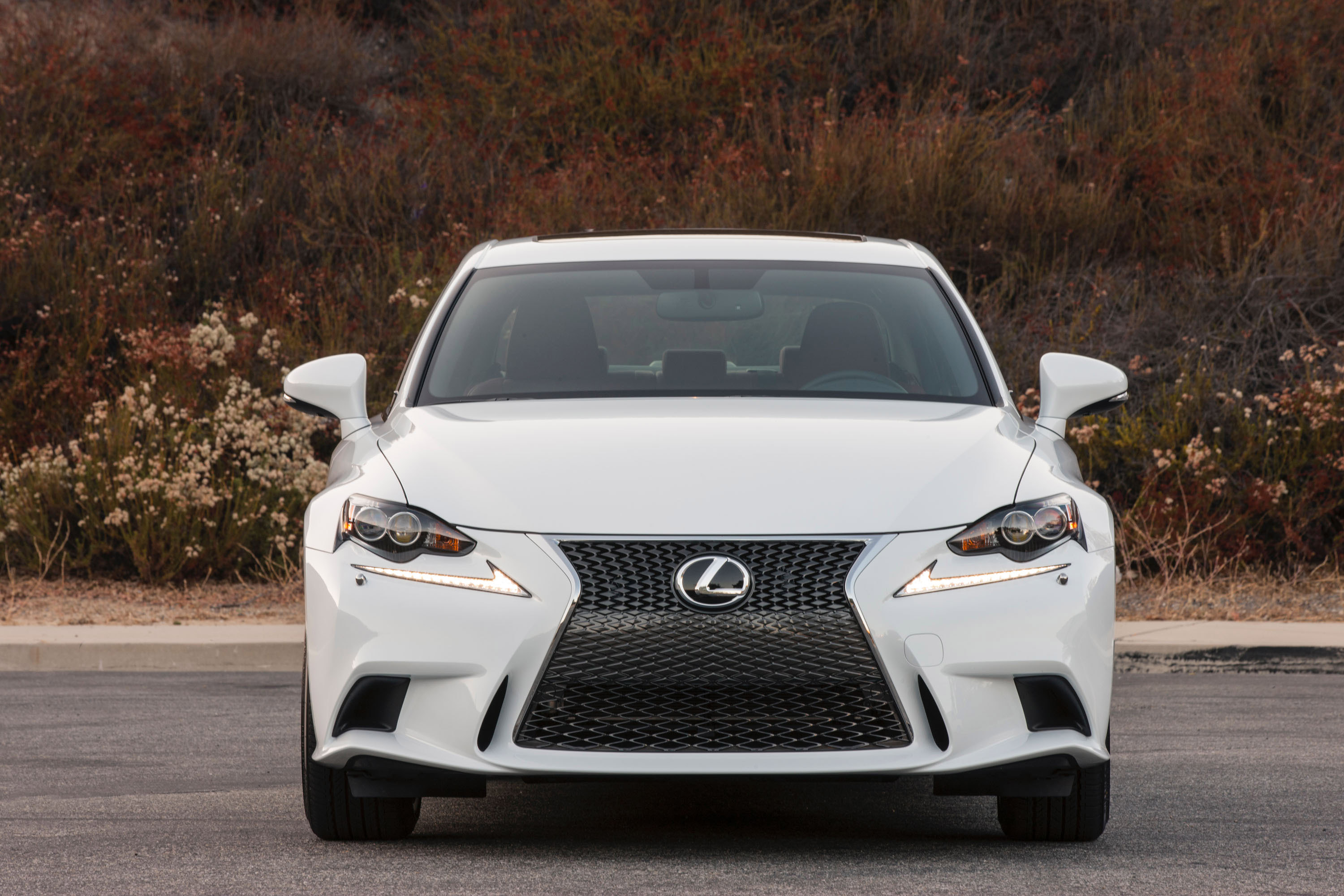 Lexus IS F-Sport photo #4