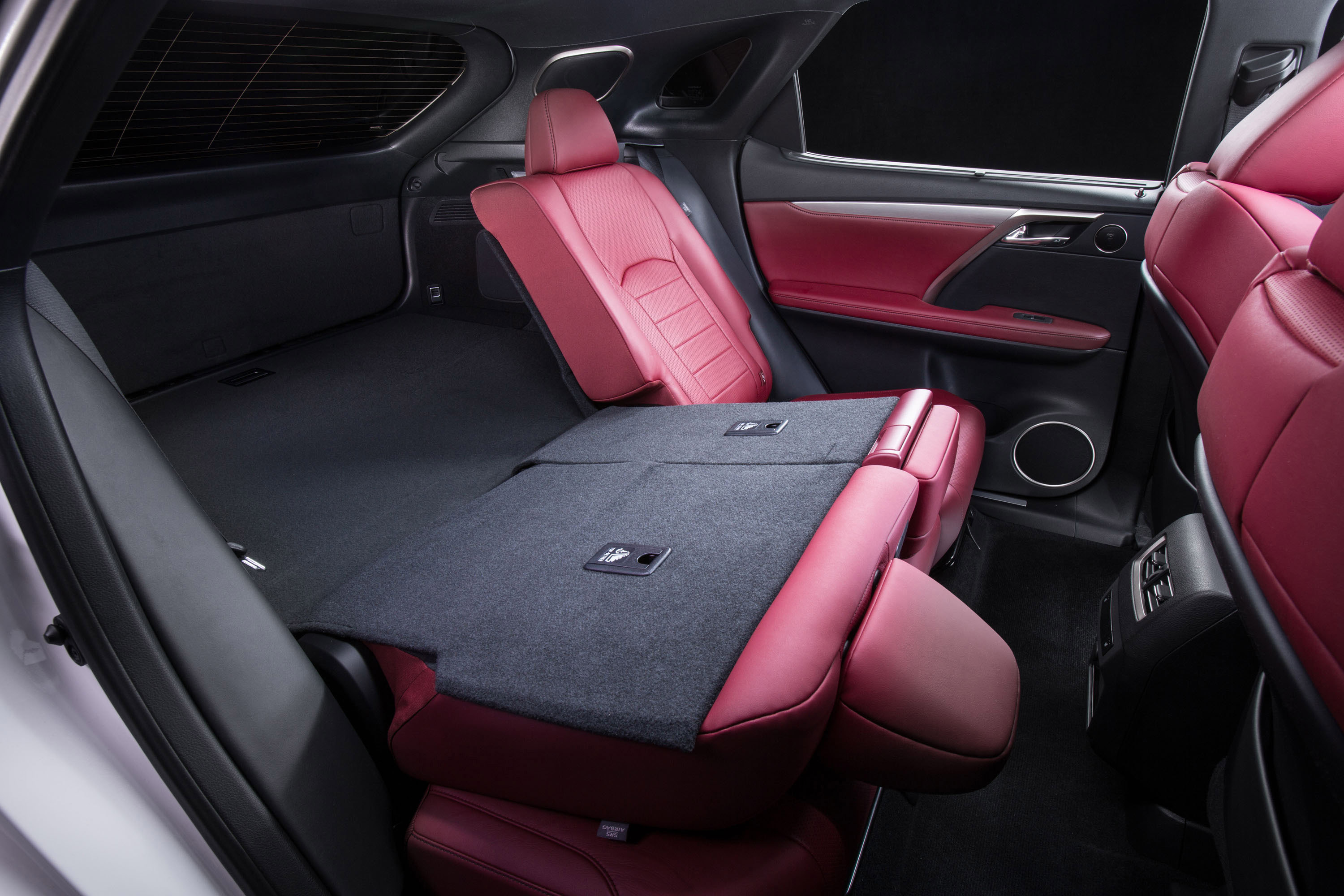 Lexus RX 350 F Sport photo #19