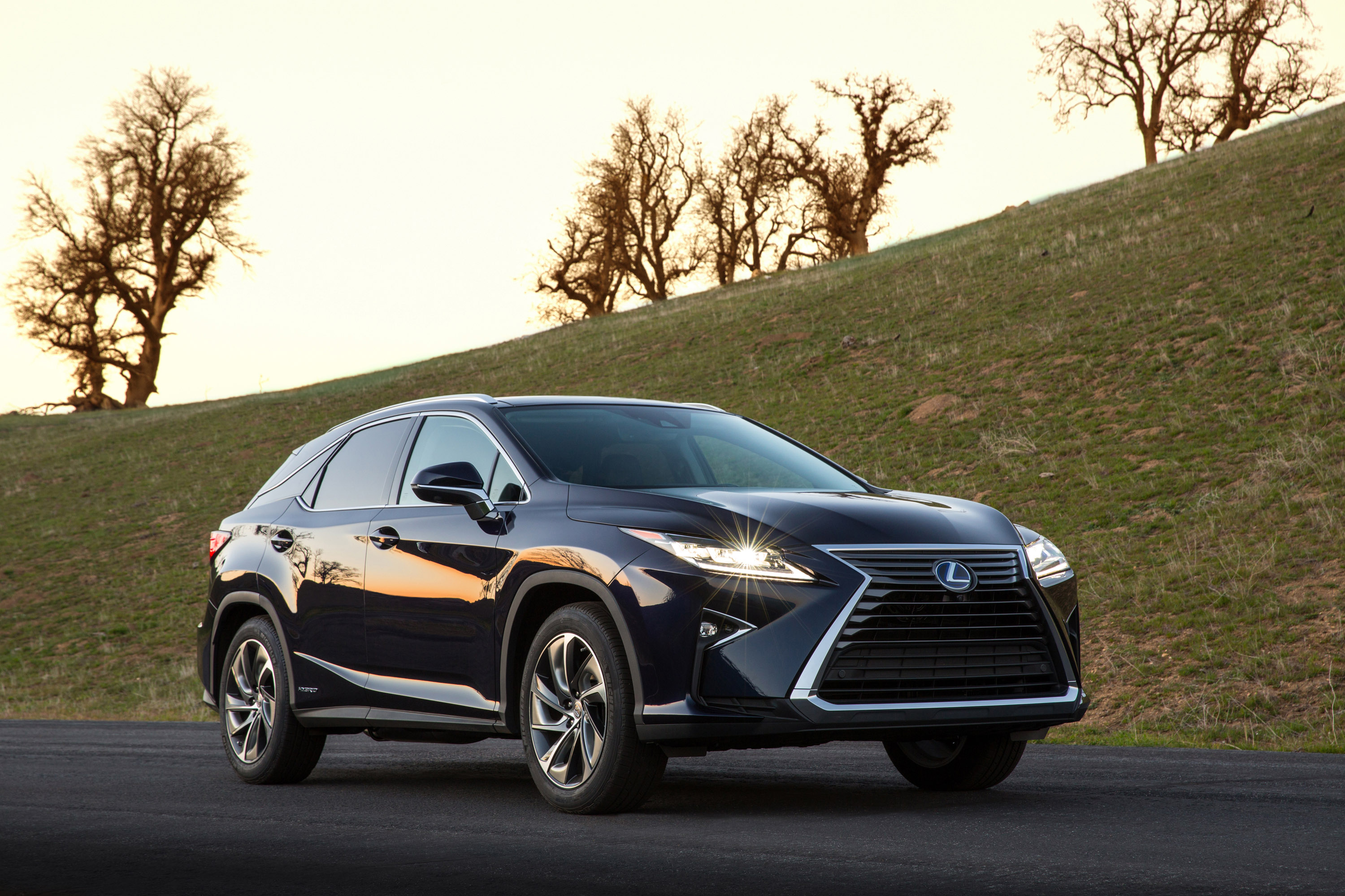 Lexus RX 450h photo #4