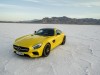 2016 Mercedes-Benz AMG GT thumbnail photo 75703