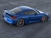 2016 Porsche Cayman GT4 thumbnail photo 84842