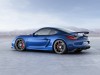 Porsche Cayman GT4 2016