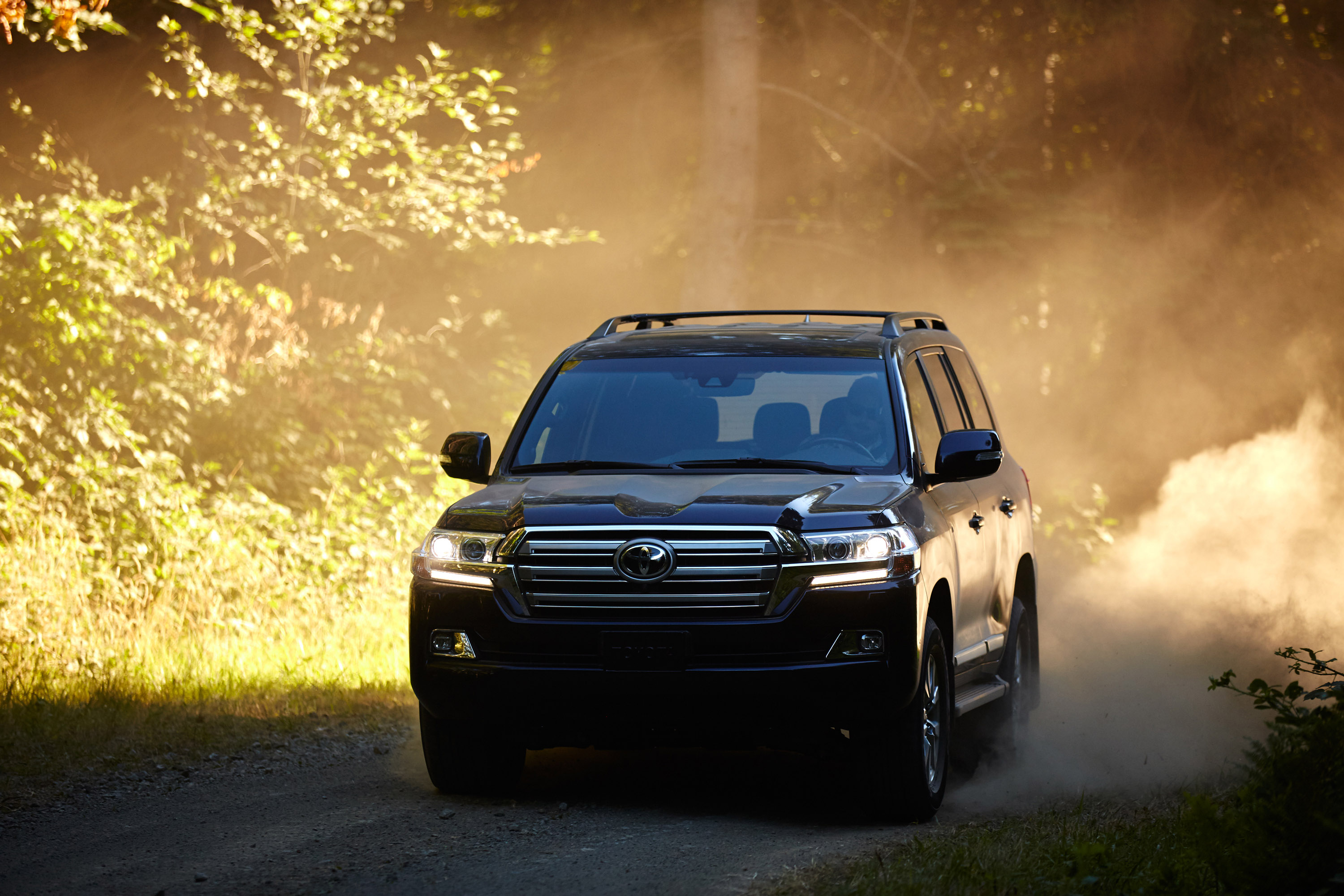 Toyota Land Cruiser photo #17