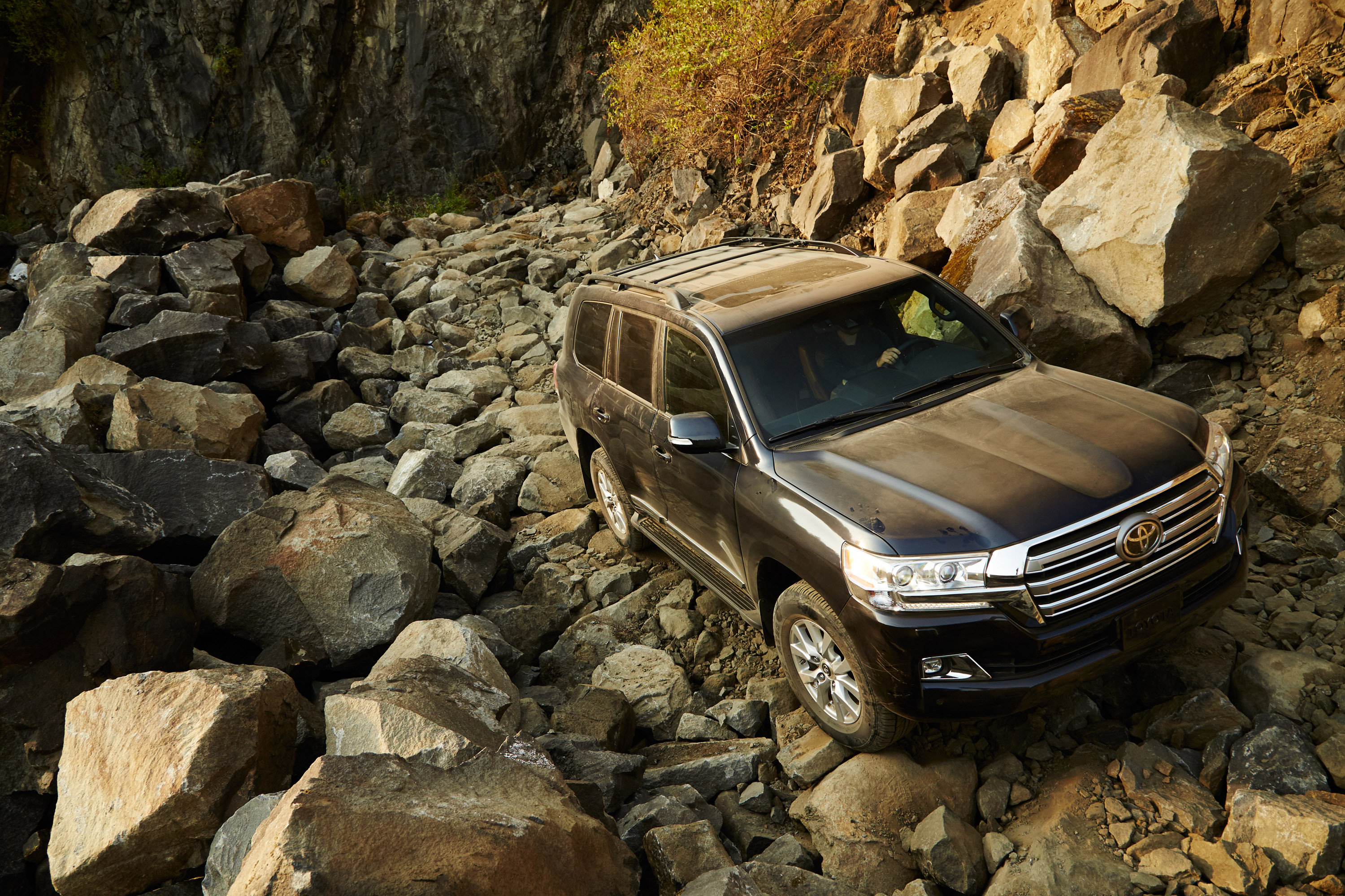 Toyota Land Cruiser photo #18