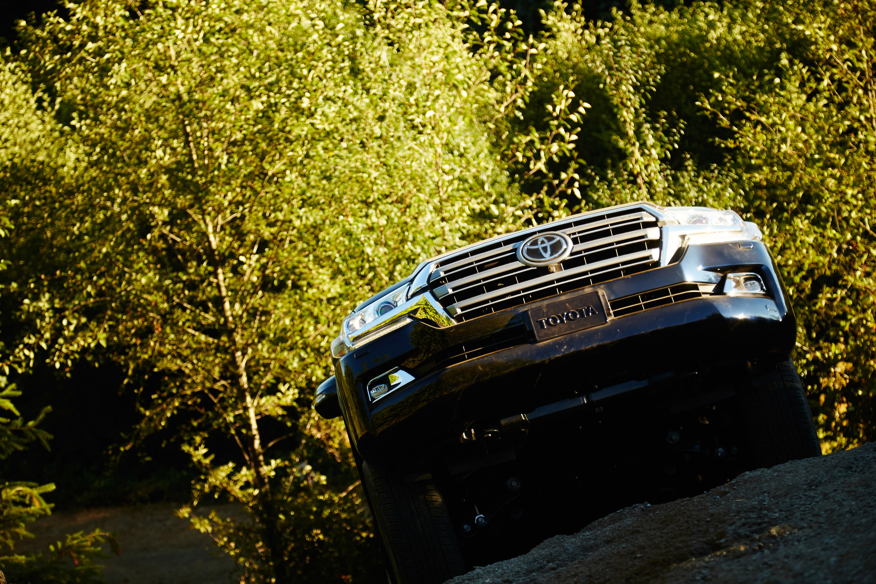 Toyota Land Cruiser photo #20