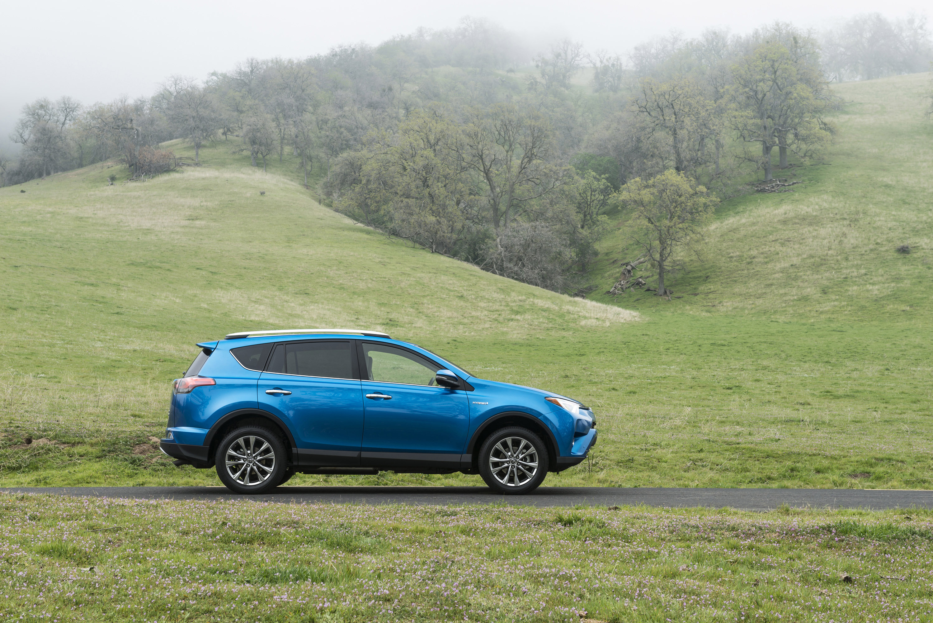 Toyota RAV4 Hybrid photo #15
