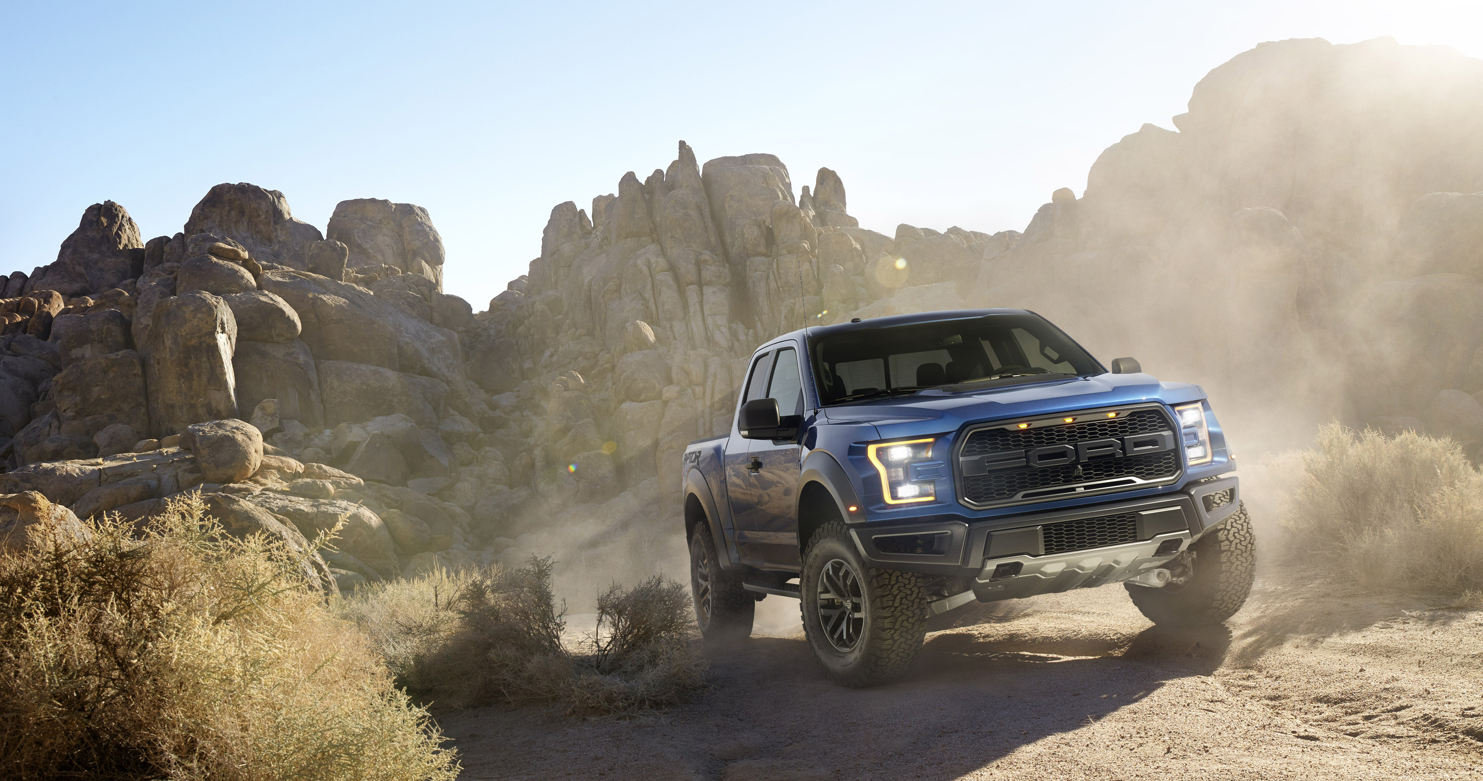 Ford F-150 Raptor photo #3