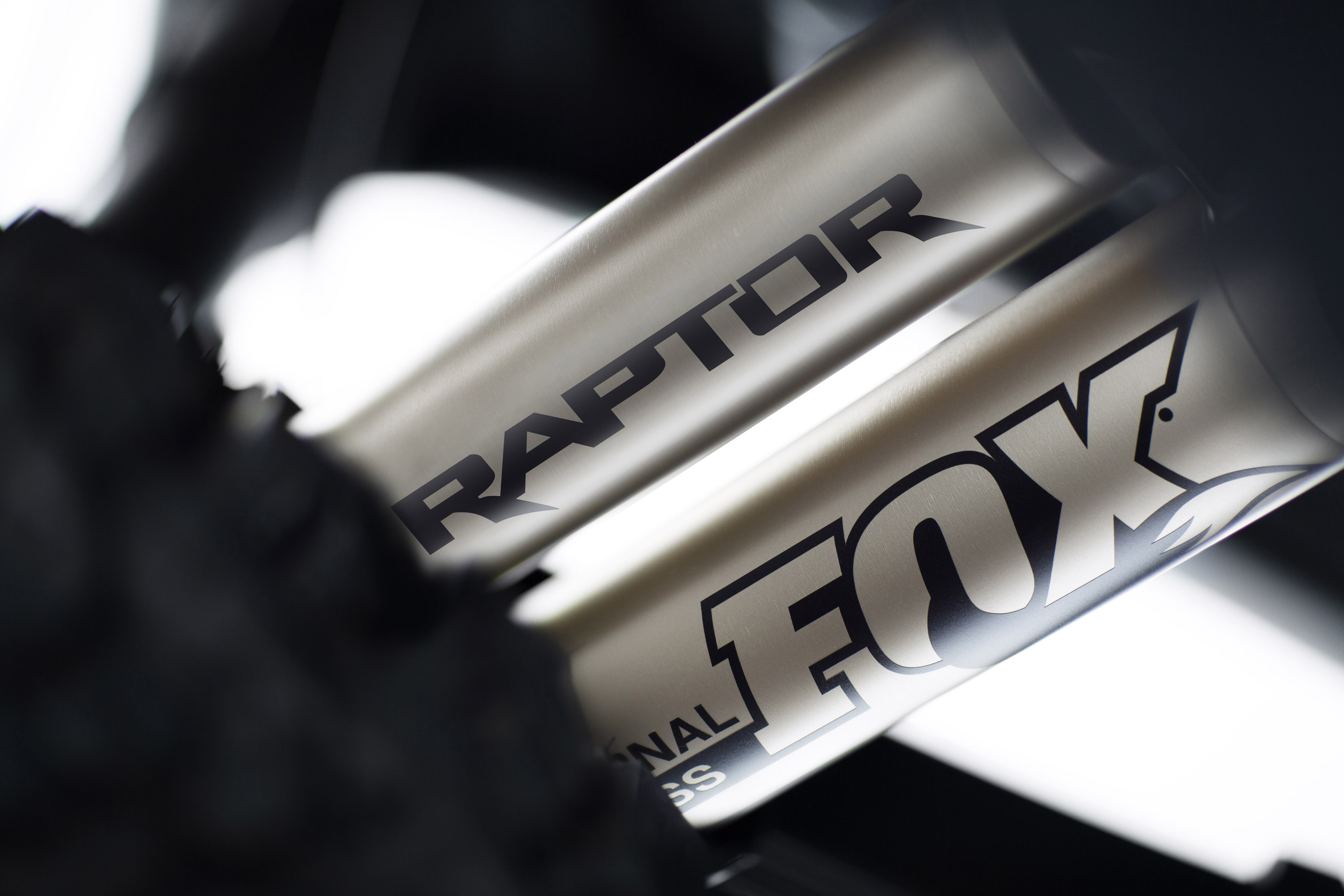 Ford F-150 Raptor photo #17