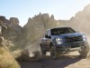 2017 Ford F-150 Raptor thumbnail photo 83412