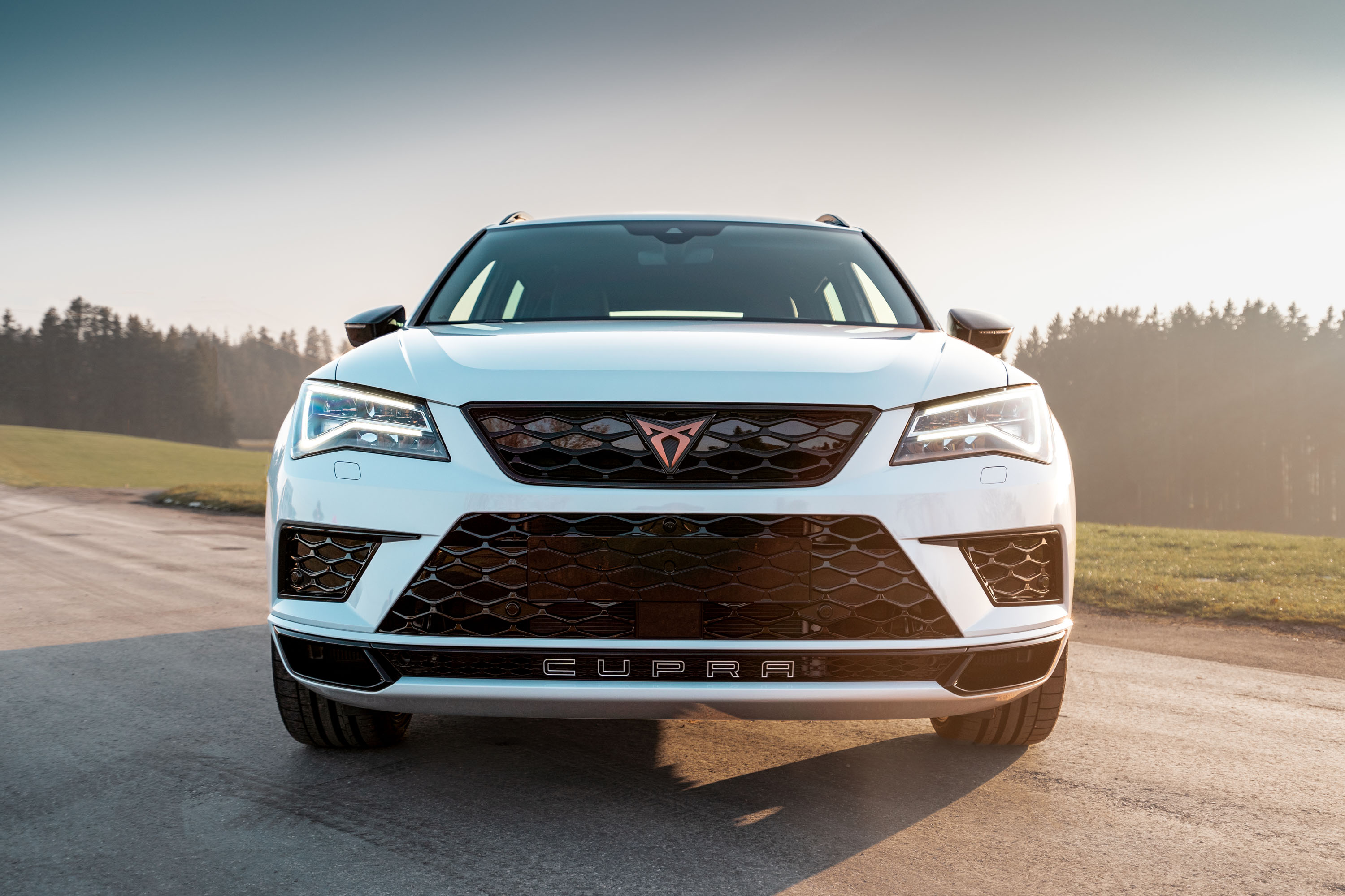 9 ABT CUPRA Ateca photo #1