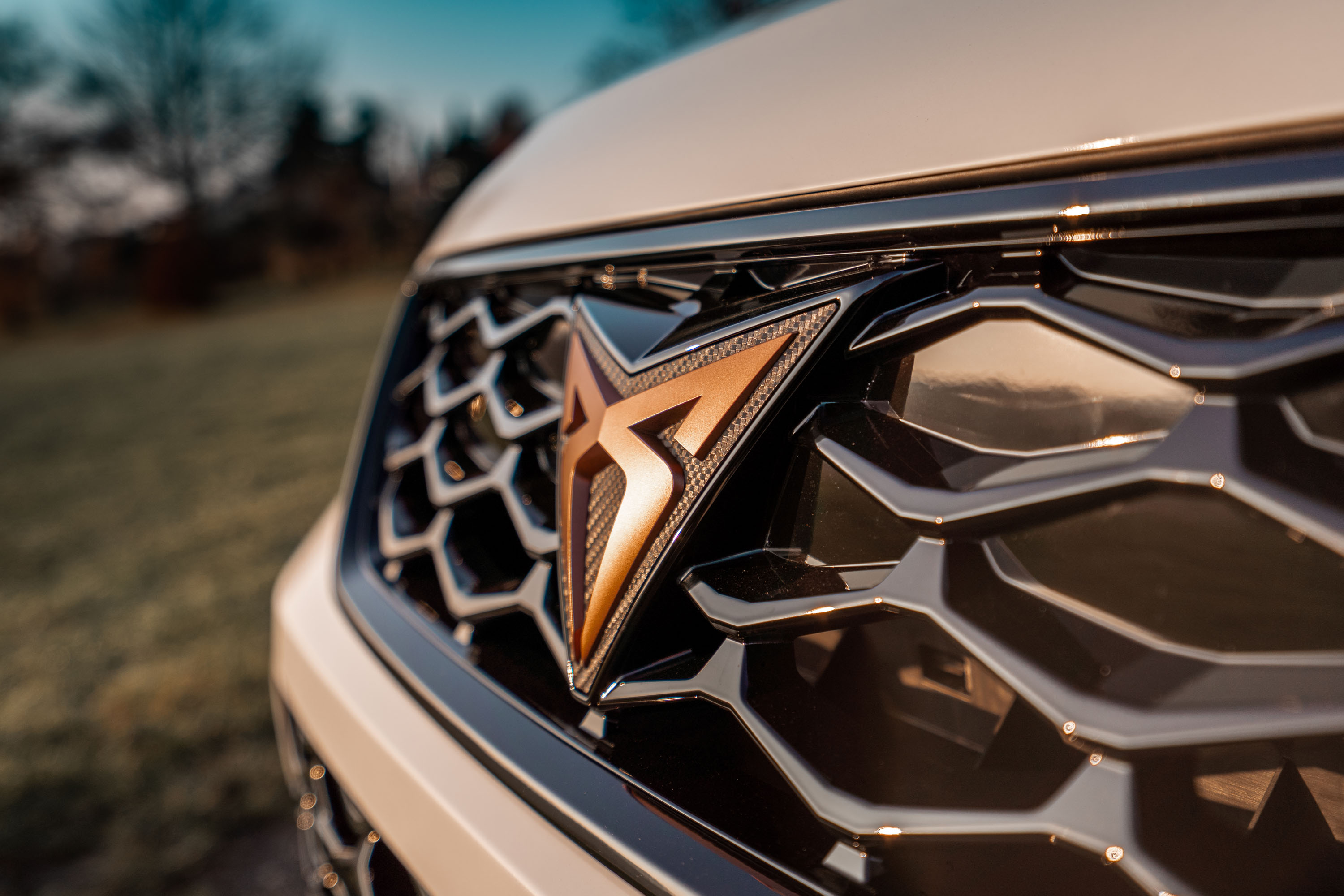 9 ABT CUPRA Ateca photo #5