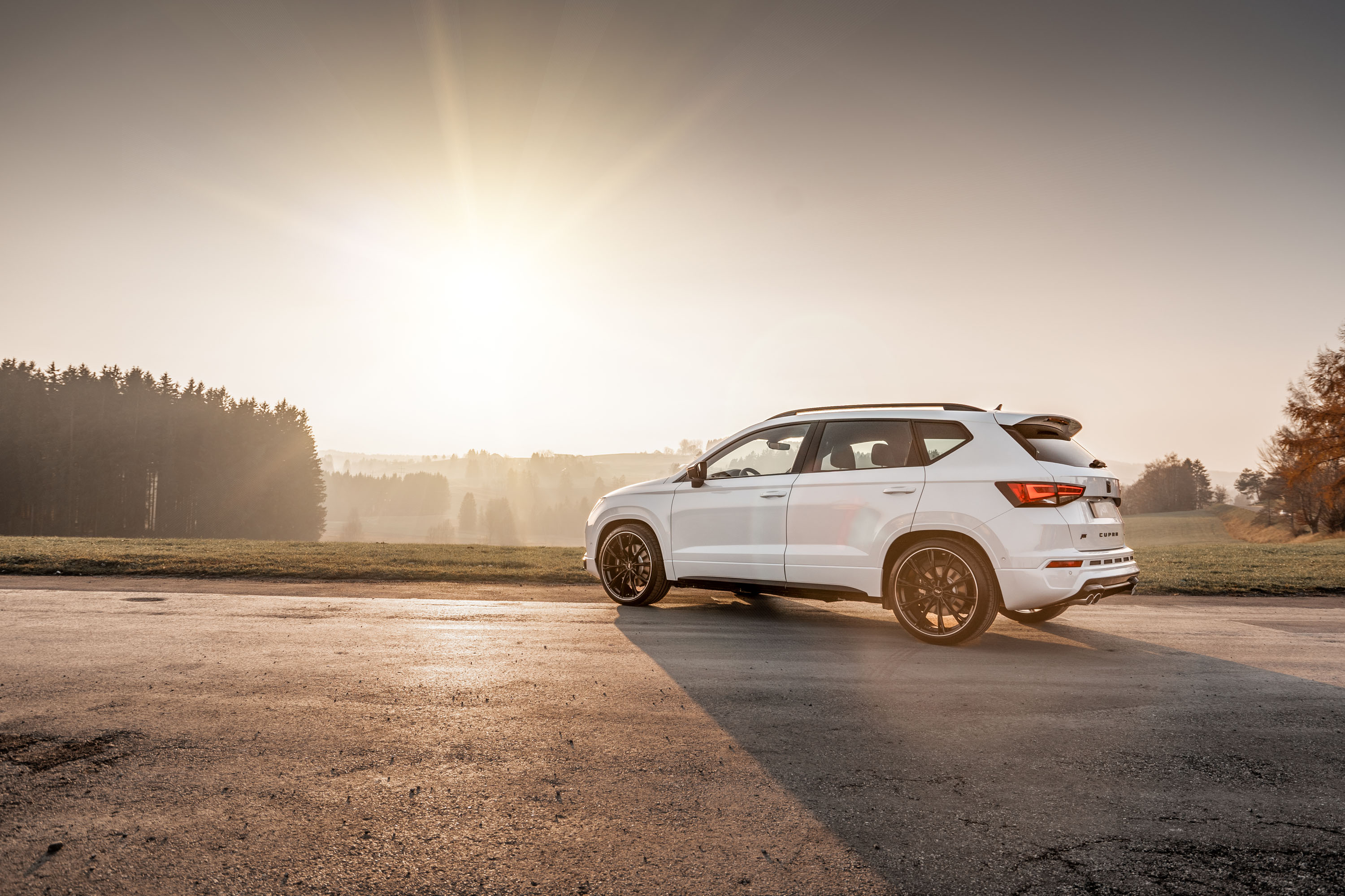 9 ABT CUPRA Ateca photo #7
