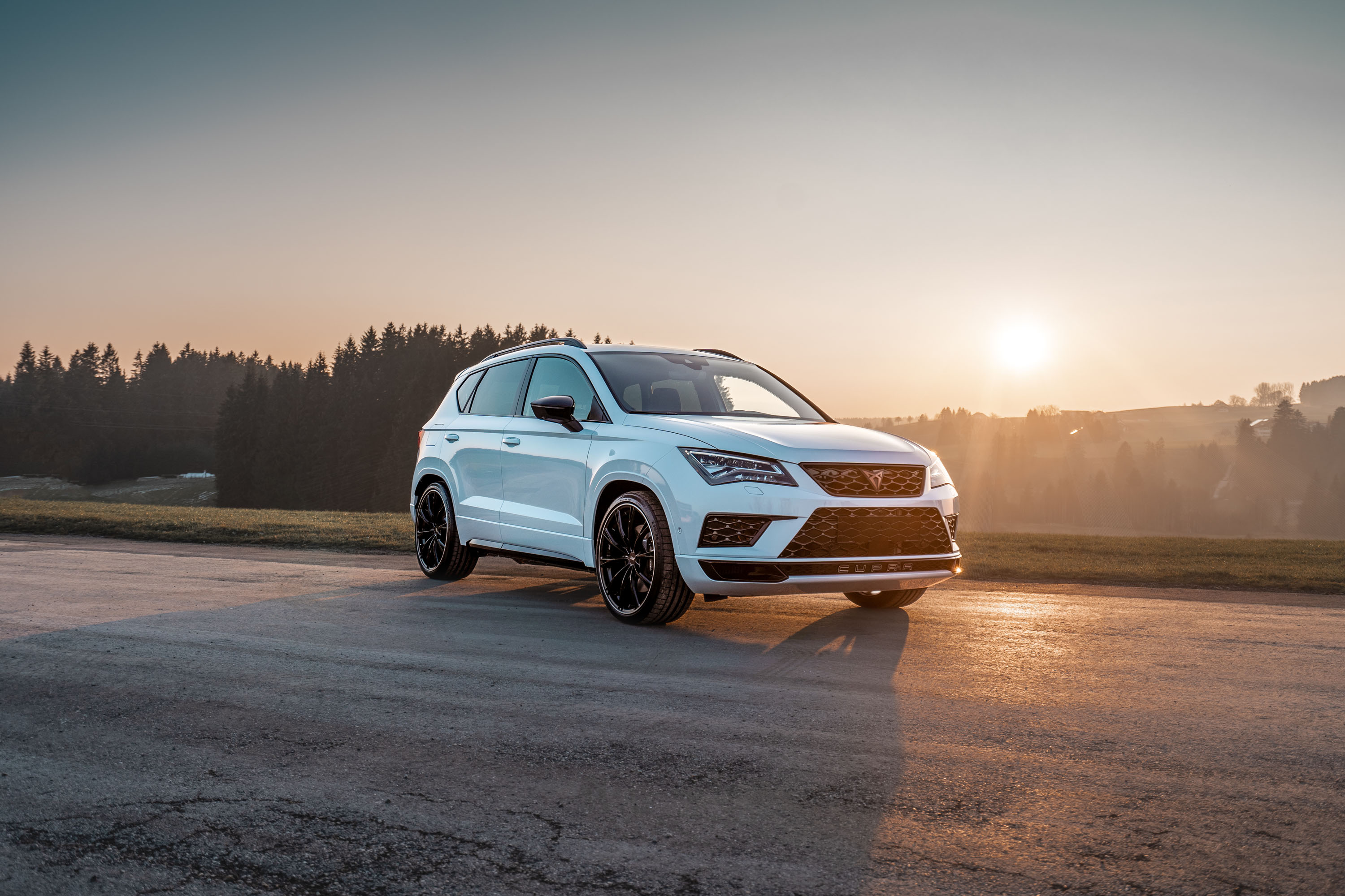 9 ABT CUPRA Ateca photo #12