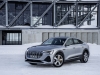 2020 Audi e-tron Sportback thumbnail photo 97619