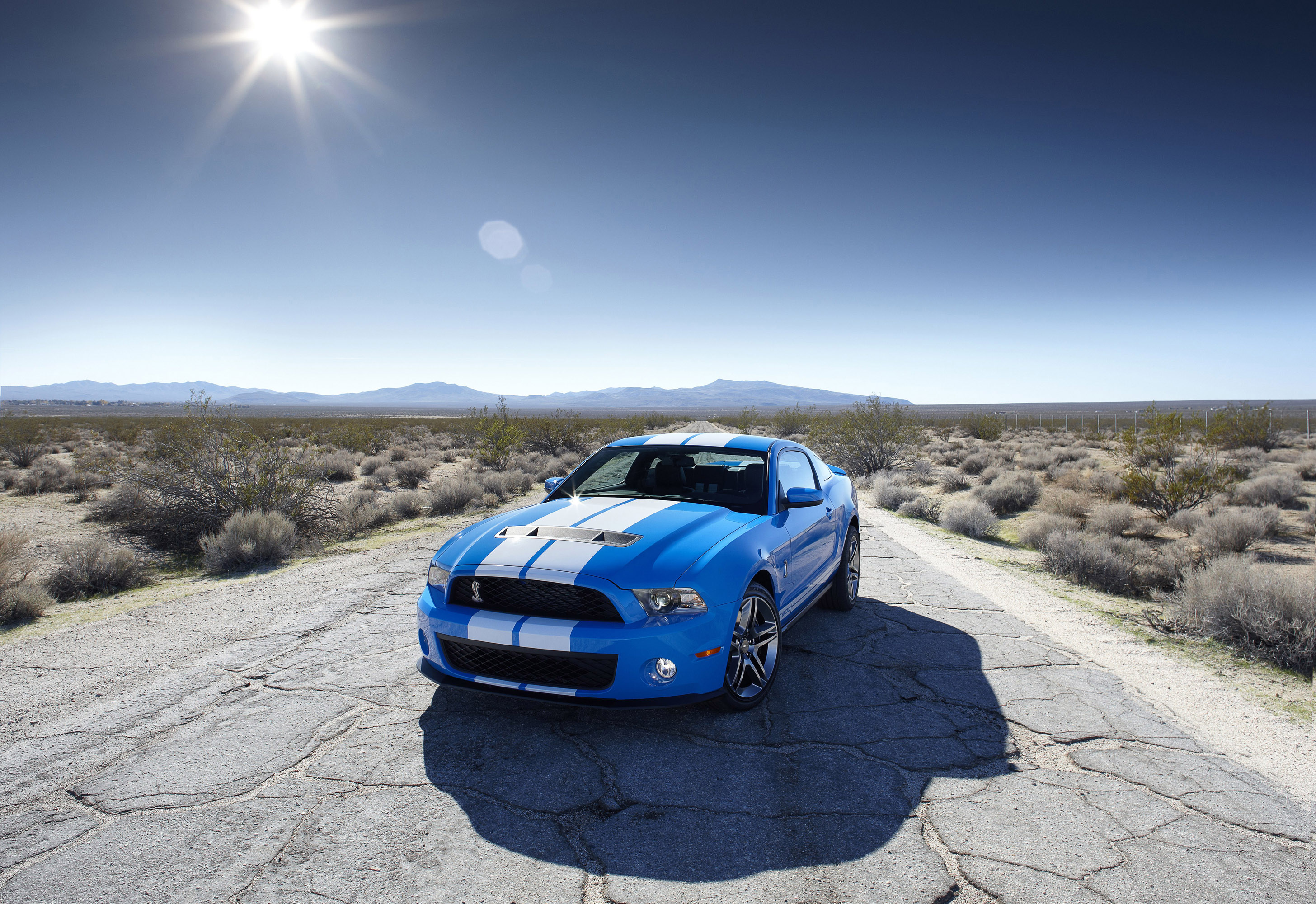 Mustang Shelby GT500 photo #1