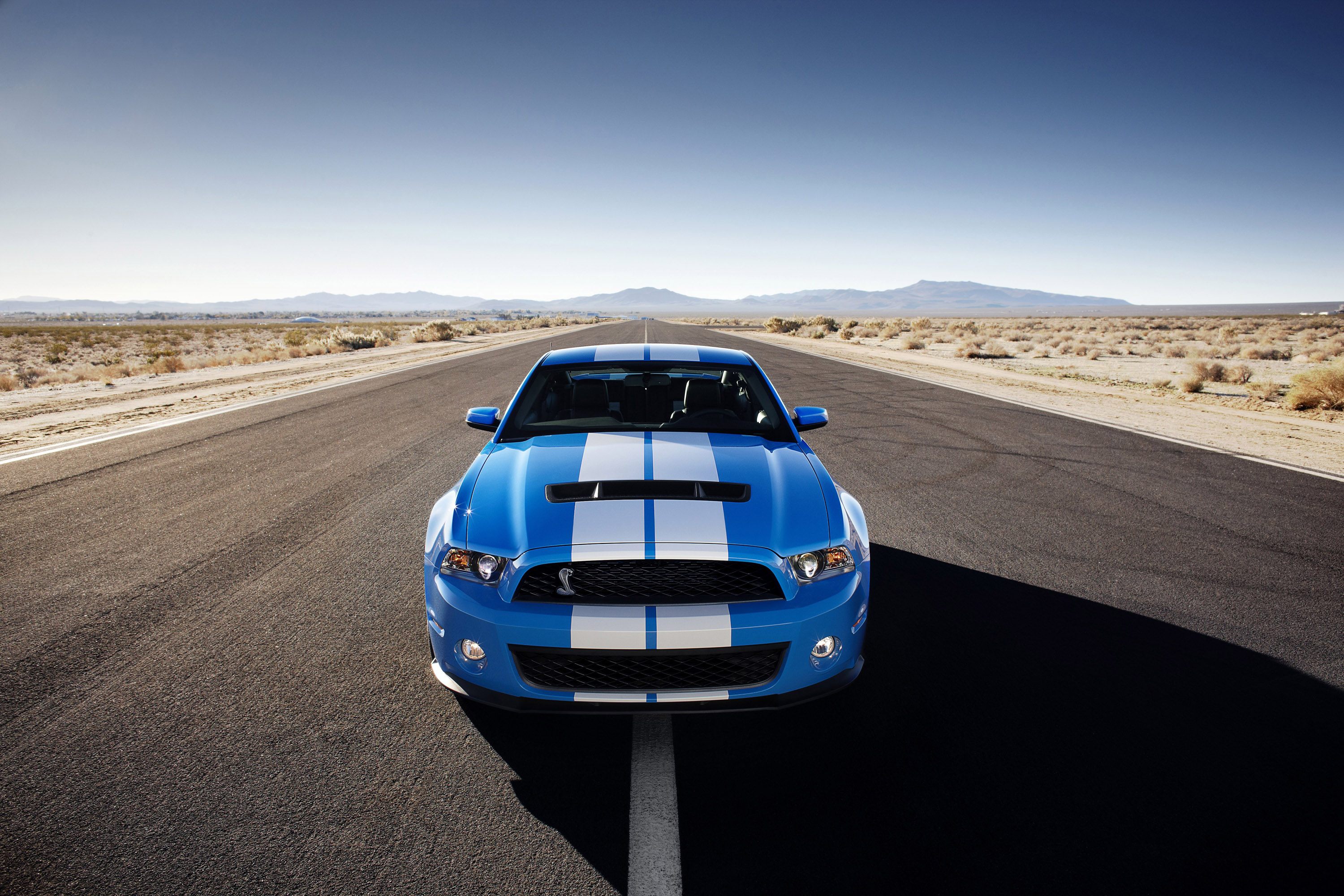 Mustang Shelby GT500 photo #3