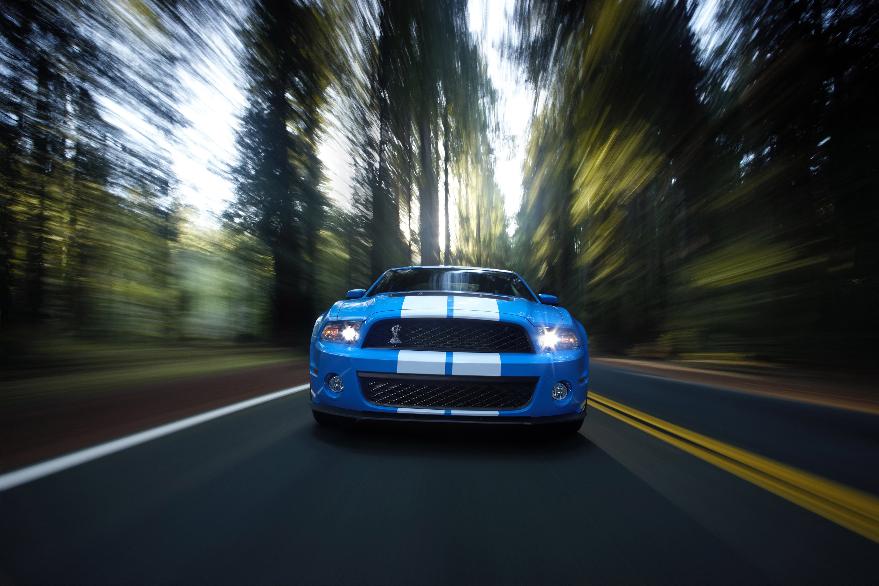 Mustang Shelby GT500 photo #4