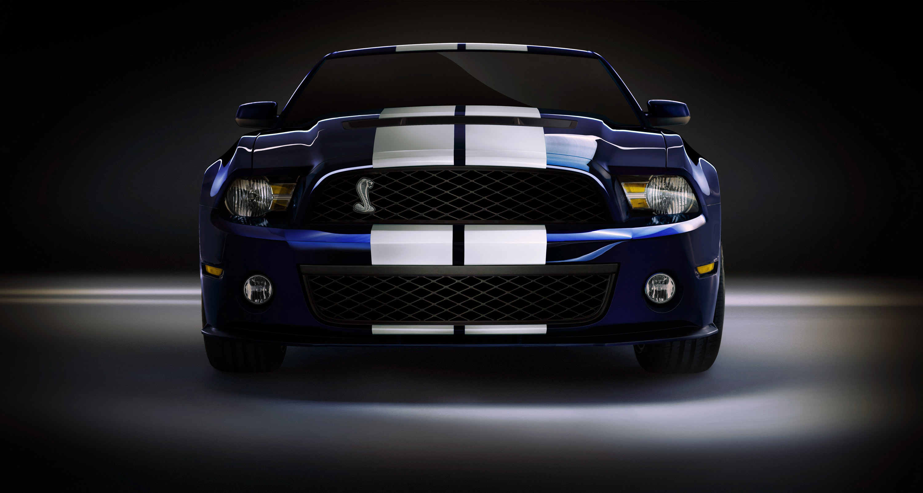 Mustang Shelby GT500 photo #5