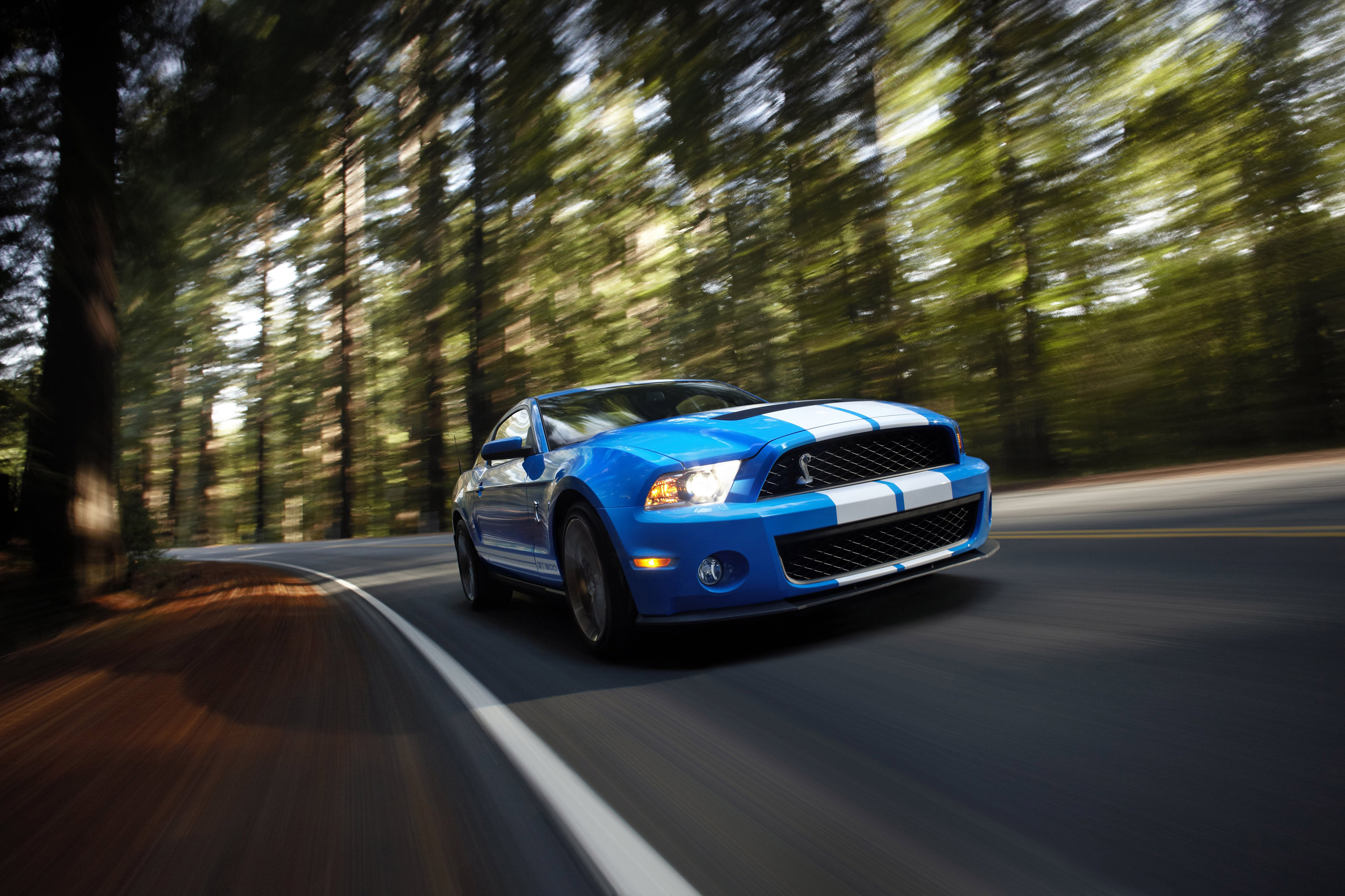 Mustang Shelby GT500 photo #8
