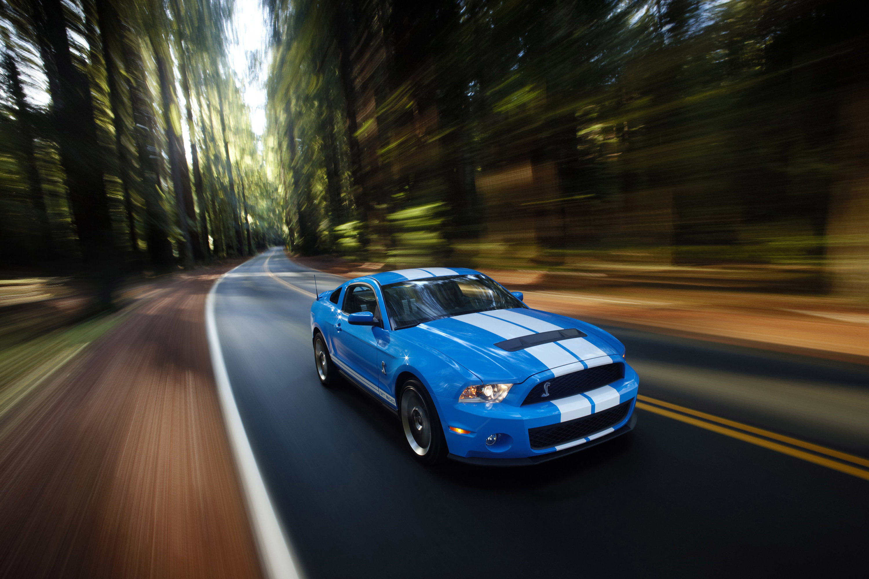 Mustang Shelby GT500 photo #10