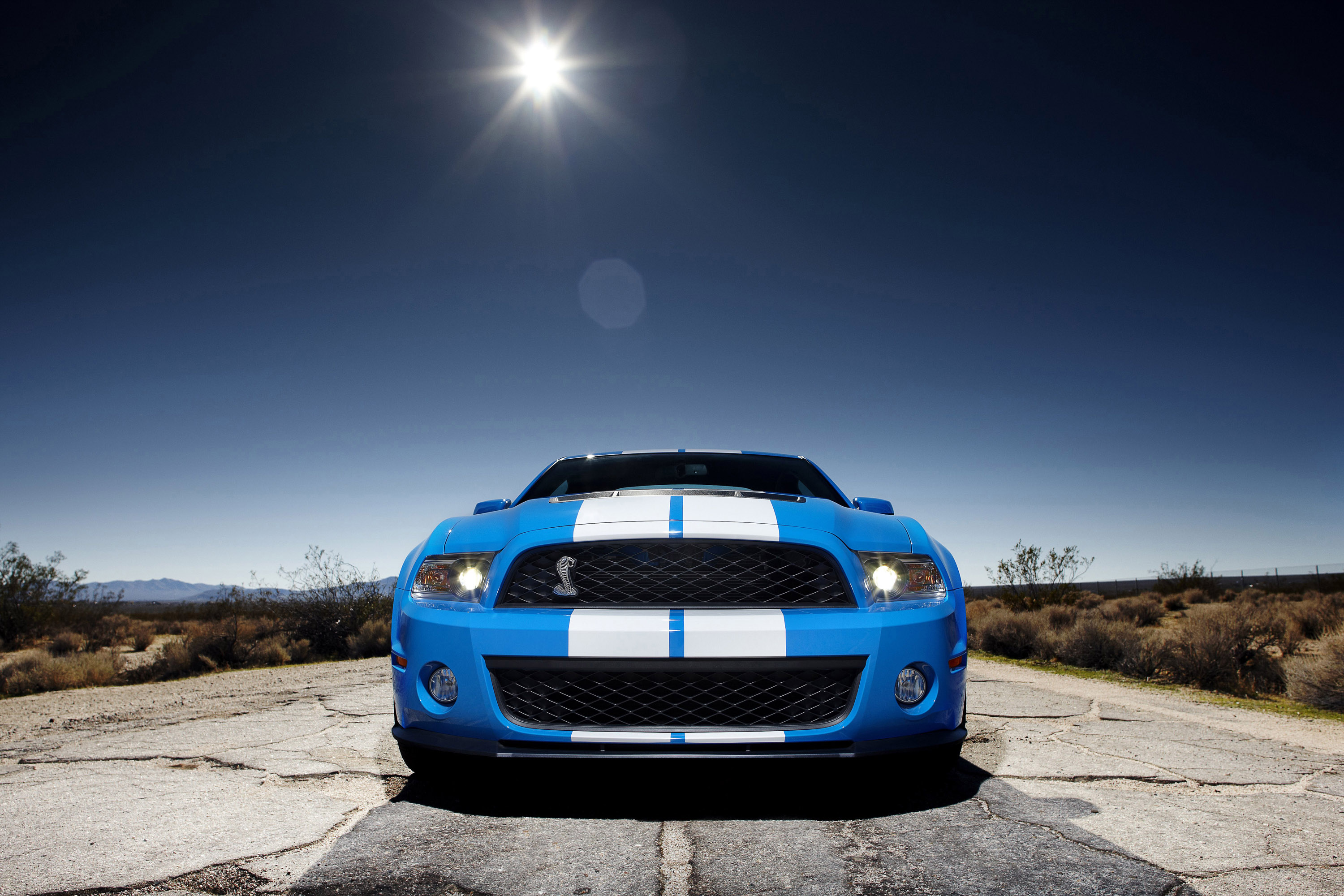 Mustang Shelby GT500 photo #11