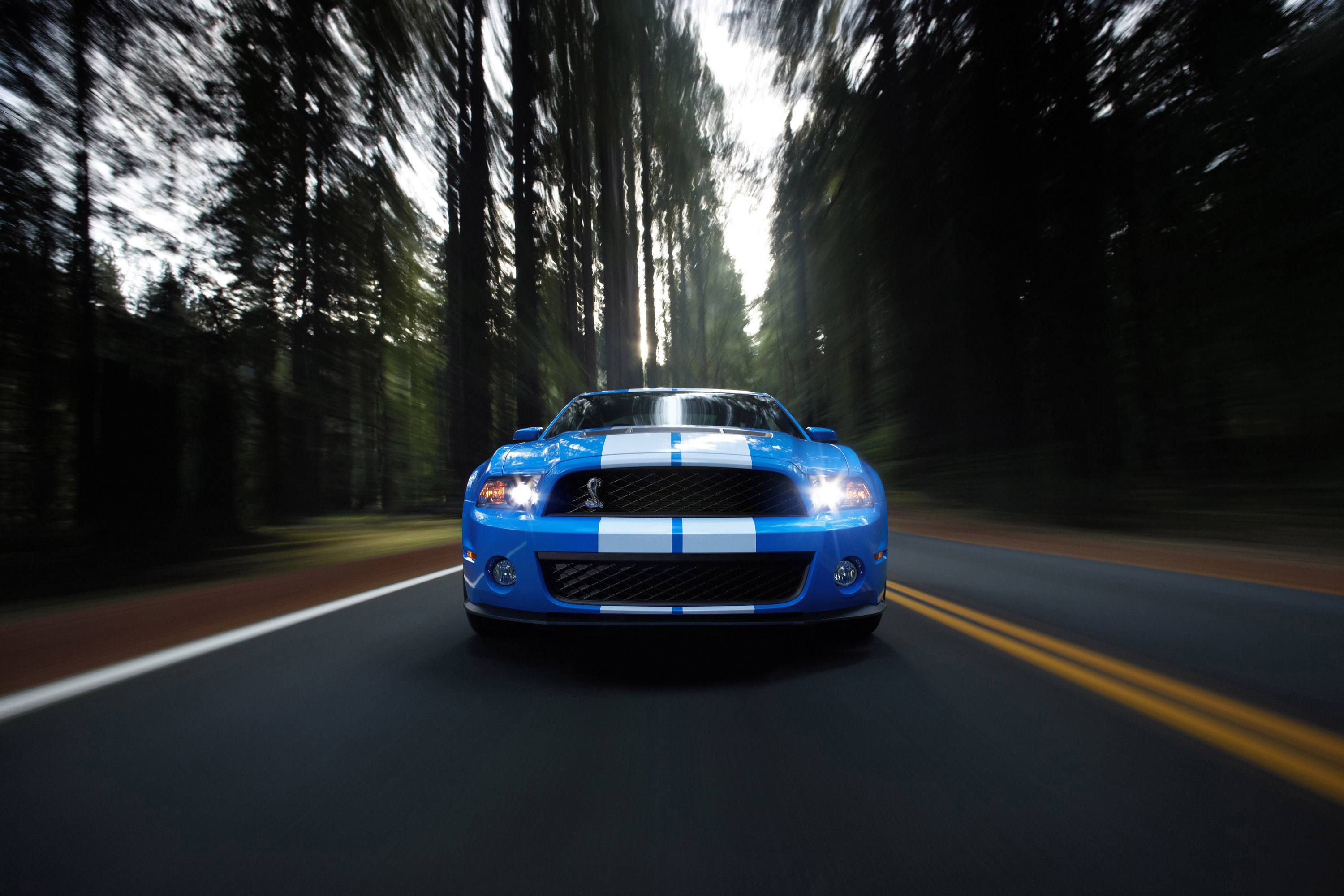 Mustang Shelby GT500 photo #12