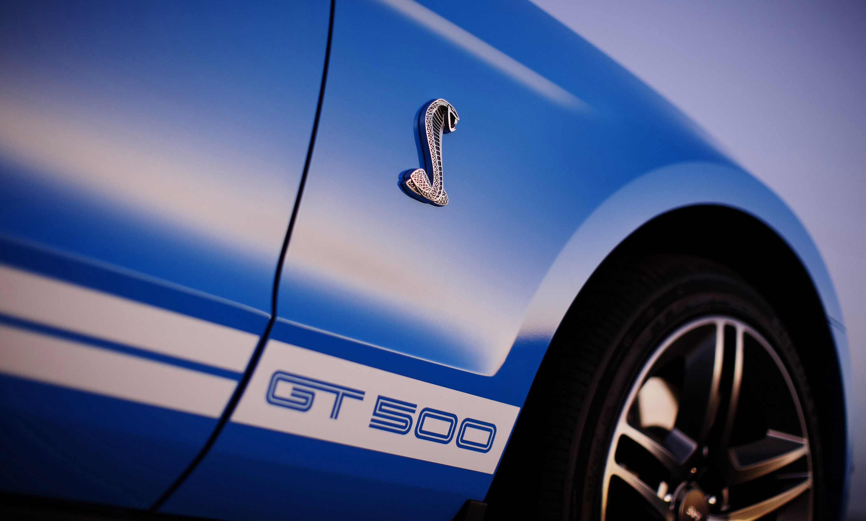 Mustang Shelby GT500 photo #25