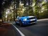 Mustang Shelby GT500 2010