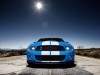Mustang Shelby GT500 2010