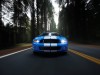 Mustang Shelby GT500 2010