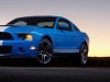 Mustang Shelby GT500 2010