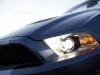 Mustang Shelby GT500 2010