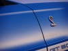 Mustang Shelby GT500 2010