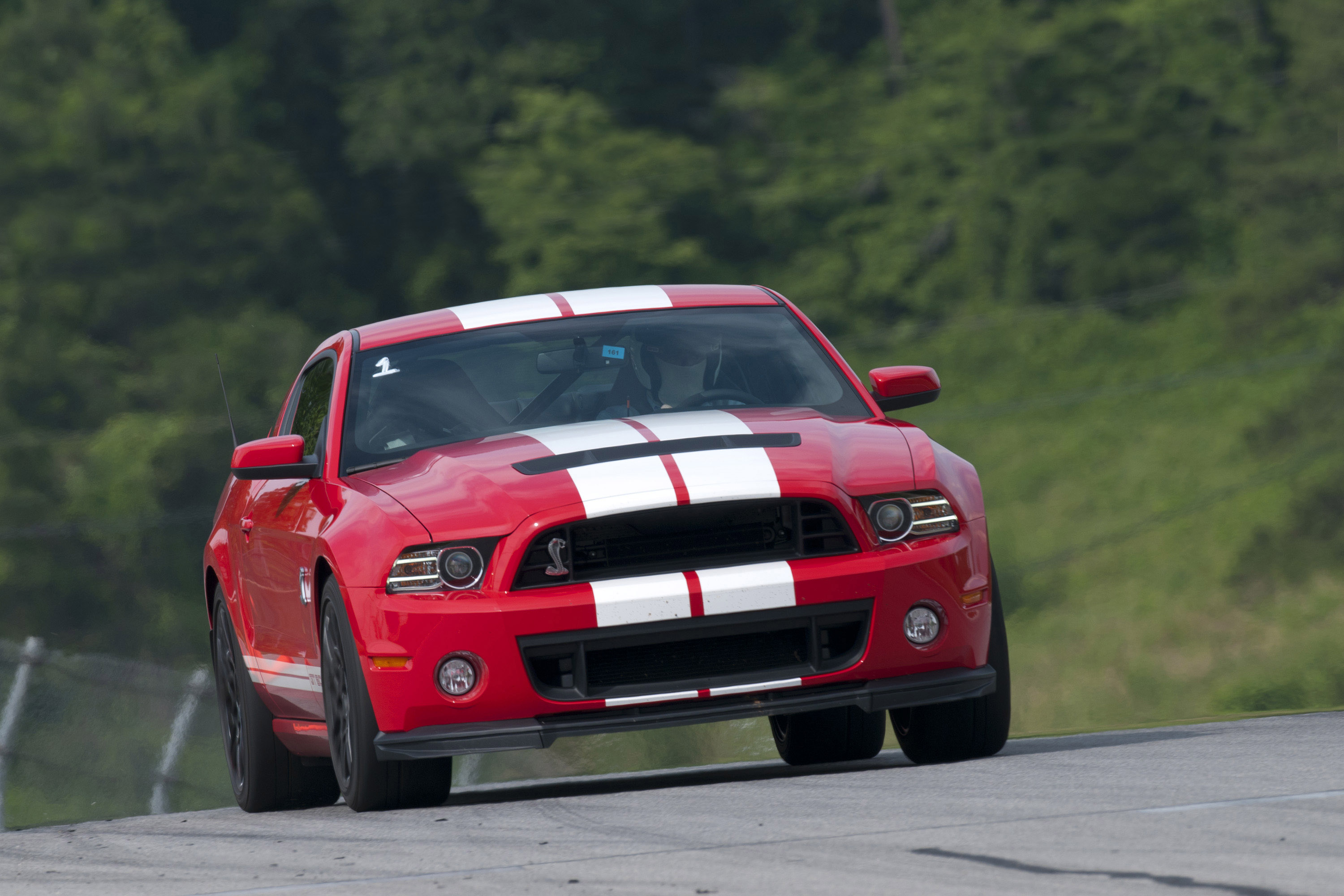 Mustang shelby gt