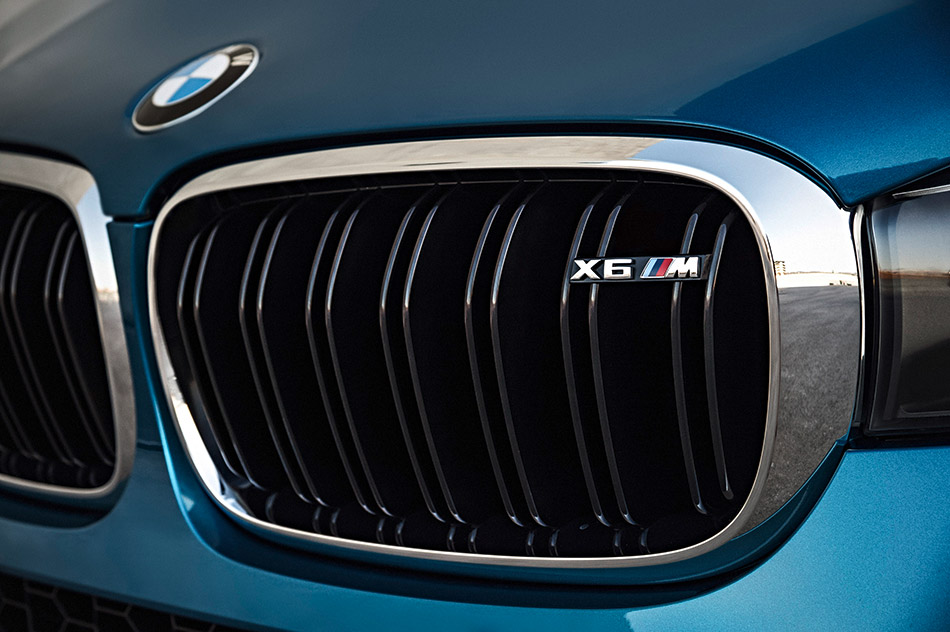 2016 BMW X6 M air intake grille